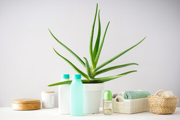 Aloe vera and composition of body care and beauty products on gray background.