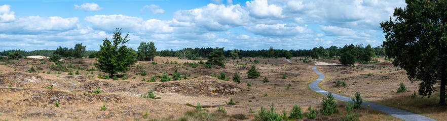 Appelscha, Drenthe, Netherland -Extra large panoramic view over the sand hills of the Drents-Fries Wold National park