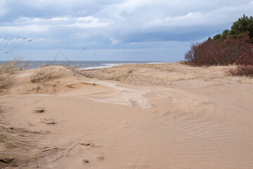 Sandy dunes grown by dry grass by Baltic sea on early spring