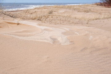 Sandy dunes grown by dry grass by Baltic sea on early spring