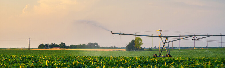 Agricultural irrigation system watering sugar beet field in summer