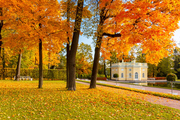 Catherine park in autumn, Tsarskoe Selo (Pushkin), St. Petersburg, Russia