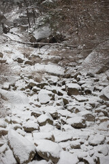 흰 눈 내리는 겨울 계곡