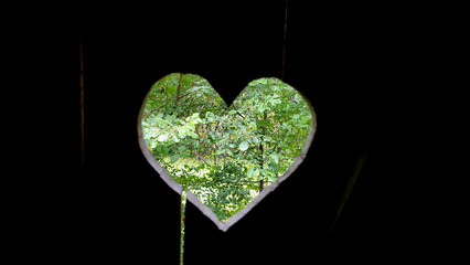 heart shape