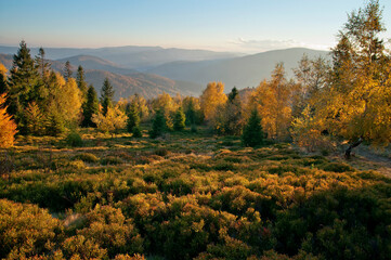 Autumn in the Beskids, Równica, Ustroń, Poland