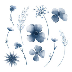 Blue wild flowers watercolor elements isolated on white background
