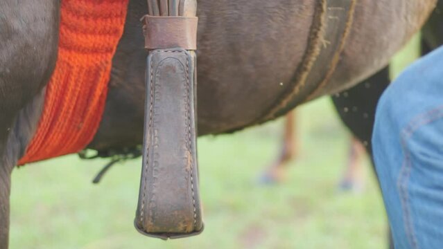 Fazenda Cavalo Mato Grosso