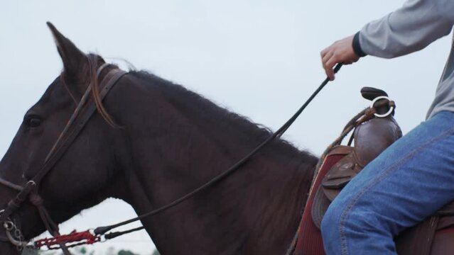 Fazenda Cavalo Mato Grosso