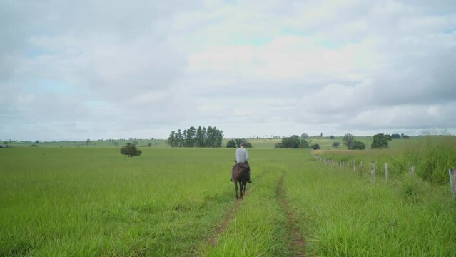 Fazenda Cavalo Mato Grosso