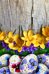 Easter eggs with crocuses and violets