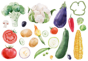 Beautiful set with hand drawn watercolor healthy vegetable food. Eggplant cauliflower corn broccoli zucchini tomato chili papper potato illustrations - obrazy, fototapety, plakaty