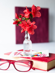 A branch of a blooming azalea in a glass vase against the background of a botanical picture, a herbarium of dried azalea flowers. Red flowers monochrome composition.
