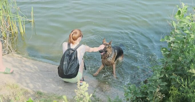 Girl helps the dog to get to the shore. A slippery concrete slab, the German Shepherd cannot climb out of the water on its own.
