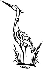 Fototapeta premium Wildlife crane on pond, stork wading bird isolated
