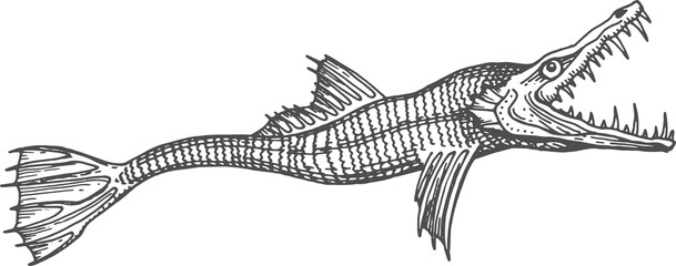 Marine beast, fish with jaws, cetus sketch animal