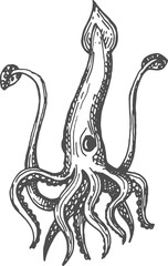 Squid isolated mollusk marine creature sketch icon