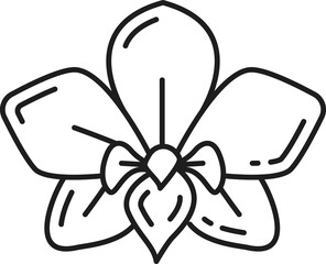 Orchid flower national plant of Thailand isolated