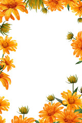 yellow chamomile flowers frame, gerbera floral wallpaper, venetting vector illustration