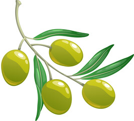 Realistic olive tree branch, berries and leaves