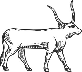 Apis bull horned divinity of Egypt isolated animal