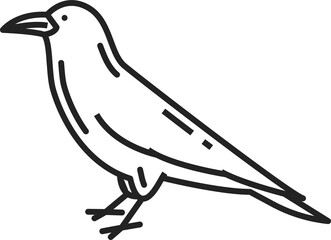 Raven bird isolate black crow animal line art icon