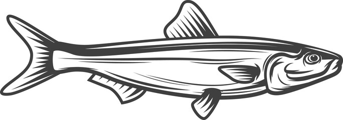 Sprat fish, ocean anchovy for fishing or food icon