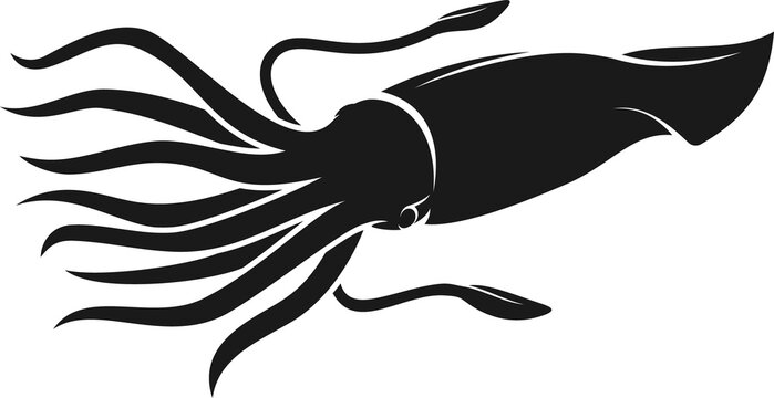 recommend clip art: Squid, cuttlefish seafood or mollusk silhouette