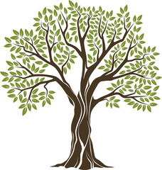 Obraz premium Olive tree extra virgin oil plant symbol isolated