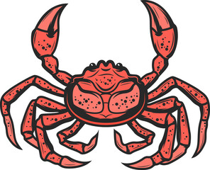 Marine porcelain crab isolated animal seafood icon