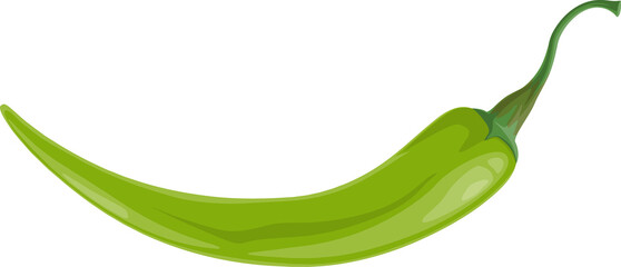 Green chili pepper vector jalapeno, chilli plant