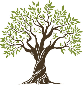 Tree trunk, green crown with olive leaves isolated
