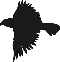 Falcon or hawk black silhouette, bird flying.