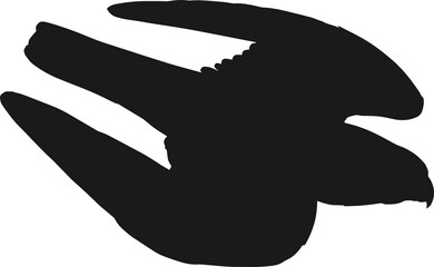 Dive falcon or hawk isolated black silhouette