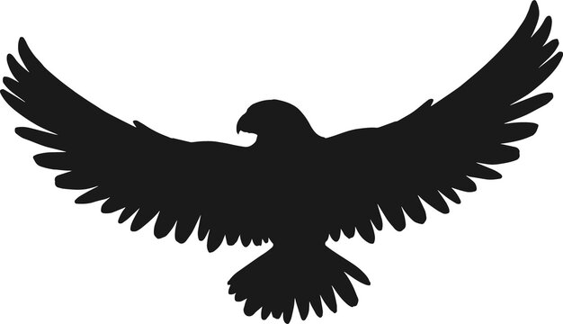 recommend clip art: Falcon or hawk with outspread wings silhouette