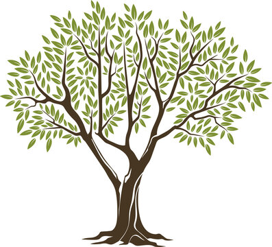 Olive tree vector icon. Plant branches with leaves