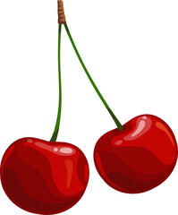 Cherry berries on green stem isolated vector plant