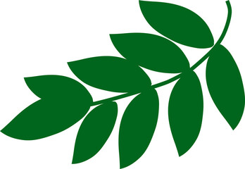 Green leaves branch isolated spring decor element