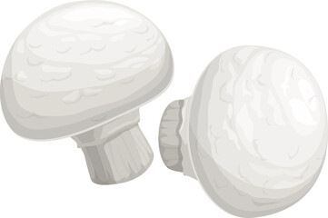 Champignon small edible mushroom realistic fungi
