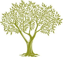 Obraz premium Tree trunk, green crown with olive leaves isolated