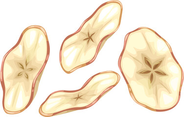 Dried apple fruit vector icon, sugared slices