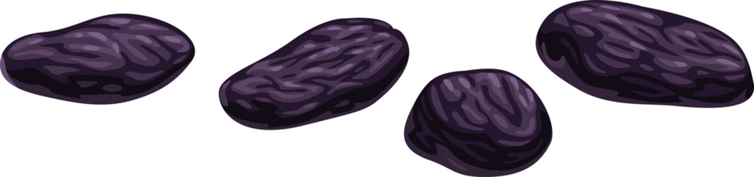 Black Dried Raisins Vector Icon. Sugared Grapes