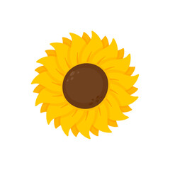 Yellow sunflowers bloom in spring. for decorating welcome sign