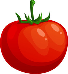 Ripe tomato vector icon, natural healthy vegetable
