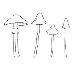 Set of various inedible mushrooms, pale toadstools. Linear sketches, stylized vector graphics.