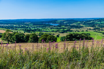 Fototapeta na wymiar A view down from the base of the Roaches escarpment, Staffordshire, UK in summertime