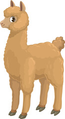 Llama alpaca isolated cartoon animal camel family