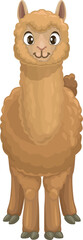 Brown llama guanaco camelid cartoon animal icon