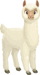 White lama guanaco alpaca llama cartoon animal
