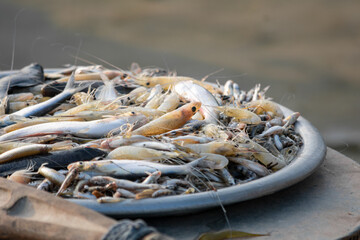 fish and shrimp in village market