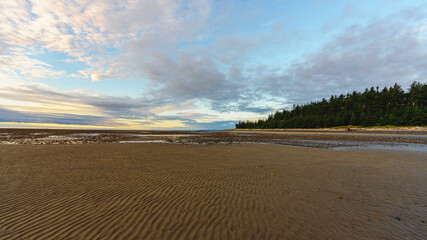 Fototapeta na wymiar Low tide at the break of dawn on a deserted Haida Gwaii beach.